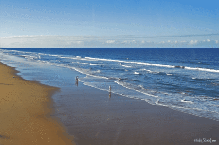 The Edge On Beaches - Surfers Gold Coast 2