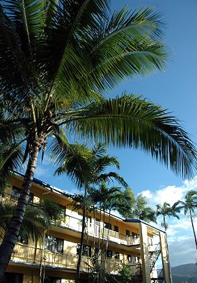 Palms At Trinity - Surfers Gold Coast 3