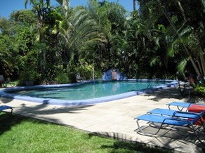 Pink Flamingo Resort - Surfers Gold Coast 0