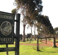 Harmony Forest - Surfers Gold Coast