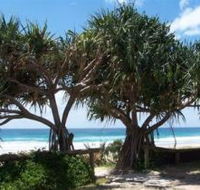 Pacific Surf Absolute Beachfront Apartments - Surfers Gold Coast