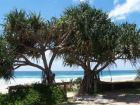Pacific Surf Absolute Beachfront Apartments - Surfers Gold Coast 0
