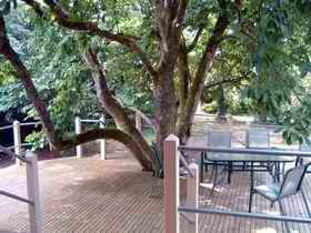 Magnolia House Marysville - Surfers Gold Coast 0