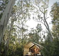 Paperbark Camp - Surfers Gold Coast