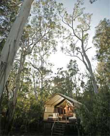 Paperbark Camp - Surfers Gold Coast 0