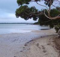Stanley Lakeside Spa Cabins - Surfers Gold Coast