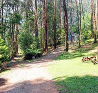 Hill 'n' Dale Farm Cottages - Surfers Gold Coast