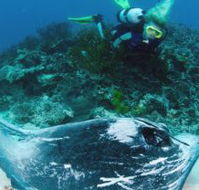 Heron Island Resort - Surfers Gold Coast