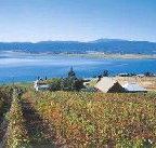 Marions Vineyard  - Surfers Gold Coast