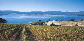 Marions Vineyard  - Surfers Gold Coast 0