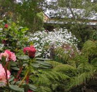 Lorne Lemonade Creek Cottages - Surfers Gold Coast
