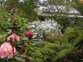 Lorne Lemonade Creek Cottages - Surfers Gold Coast 0