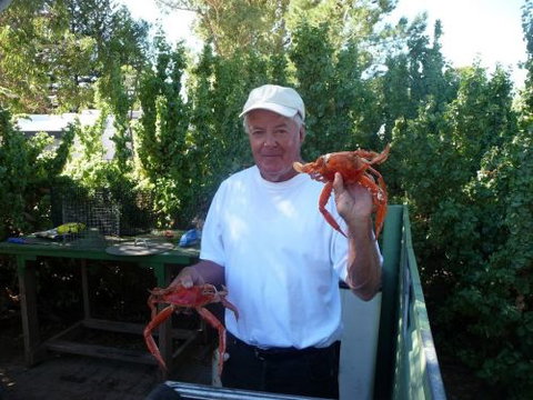 Cowell Foreshore Caravan Park & Holiday Units - Surfers Gold Coast 4