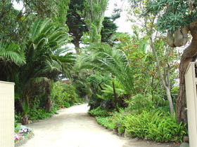 Seacove On The Beach - Surfers Gold Coast 0