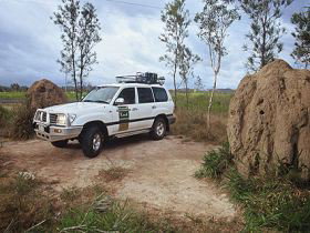 Mungumby Lodge - Surfers Gold Coast 0