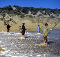 Flippers Beachouse - Surfers Gold Coast