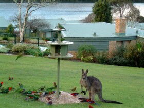 Gipsy Point Lakeside - Surfers Gold Coast 0