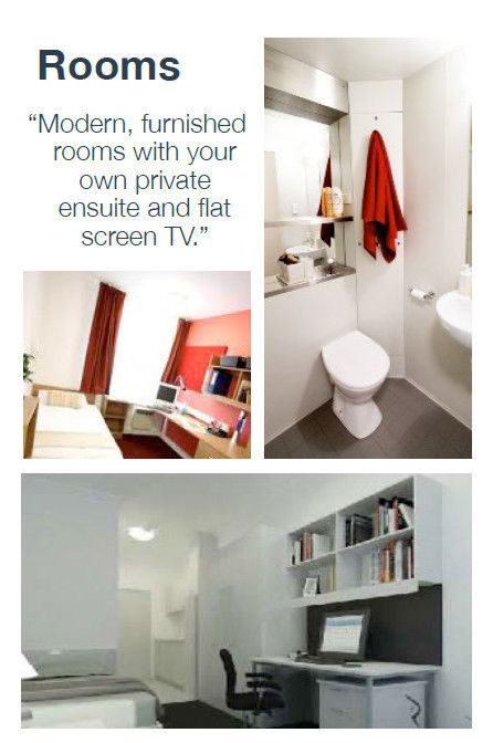Havannah Accommodation - Surfers Gold Coast 1