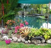 Daintree Wild Bed And Breakfast - Surfers Gold Coast