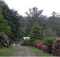 Mountain Rivers Lodge - Surfers Gold Coast