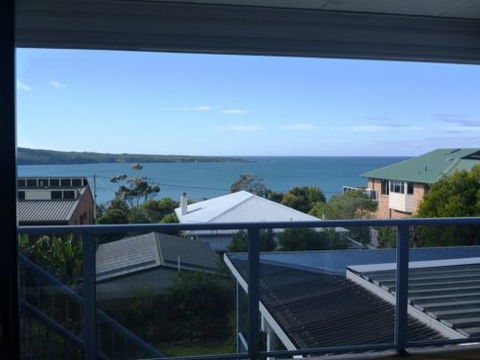 Hedgehog House - Surfers Gold Coast 1