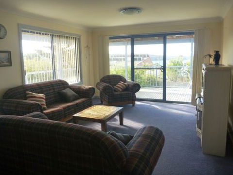 Hedgehog House - Surfers Gold Coast 6