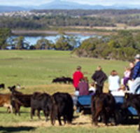 Bonny Brae - Surfers Gold Coast