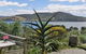 Hideaway On Victoria - thumb 0