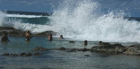 Orchid Sands Fraser Island Accommodation - Surfers Gold Coast 5