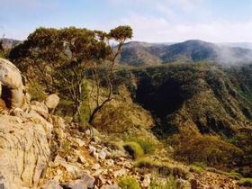 Bendleby Ranges - Surfers Gold Coast 0