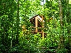 Fur'N'Feathers Rainforest Tree Houses - Surfers Gold Coast 0