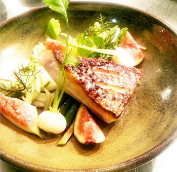 Estate Tuscany - Surfers Gold Coast 8