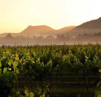 Estate Tuscany - Surfers Gold Coast 21