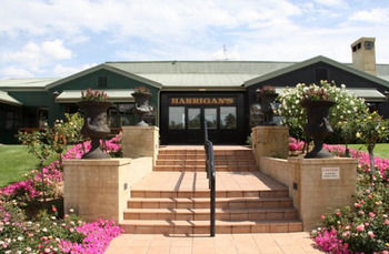 Harrigan's Irish Pub & Accommodation - Surfers Gold Coast 38