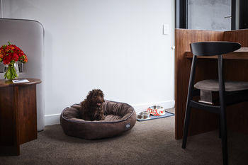 Larmont Sydney By Lancemore - Surfers Gold Coast 31