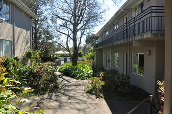 Buckingham International Serviced Apartments - Surfers Gold Coast 4