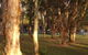 Gateway Lifestyle The Pines - thumb 12