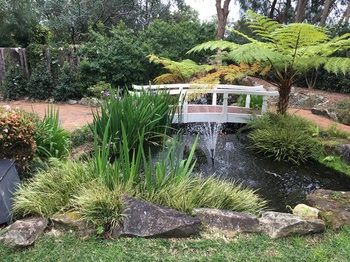 Checkers Resort & Conference Centre - Surfers Gold Coast 20