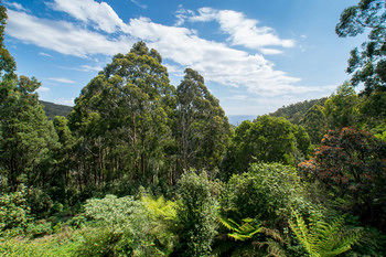 A Camelot Tower & Penthouse - Surfers Gold Coast 46