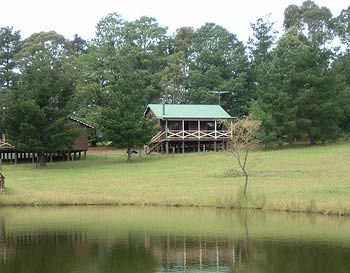 Madison's Mountain Retreat - Surfers Gold Coast 2