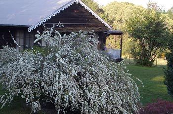 Madison's Mountain Retreat - Surfers Gold Coast 3