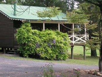 Madison's Mountain Retreat - Surfers Gold Coast 4