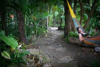 Noosa Valley Manor B&B Retreat - Surfers Gold Coast 4