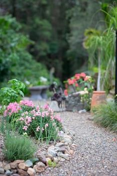 Noosa Valley Manor B&B Retreat - Surfers Gold Coast 12
