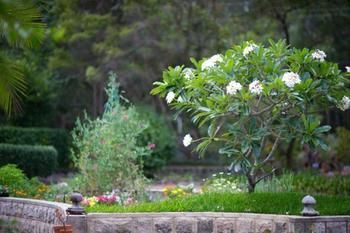 Noosa Valley Manor B&B Retreat - Surfers Gold Coast 13