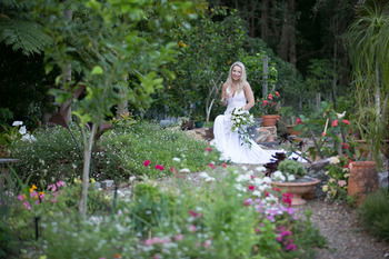 Noosa Valley Manor B&B Retreat - Surfers Gold Coast 24