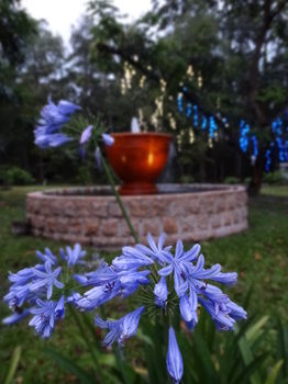 Noosa Valley Manor B&B Retreat - Surfers Gold Coast 34