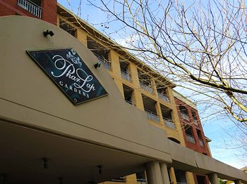 Waldorf Randwick Serviced Apartments - Surfers Gold Coast 5