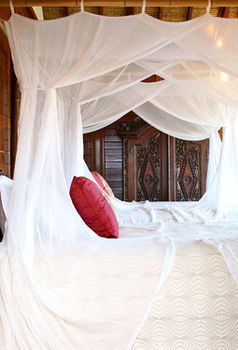 Makepeace Island - All Inclusive - Surfers Gold Coast 21