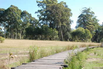 Worrowing At Jervis Bay - Surfers Gold Coast 47